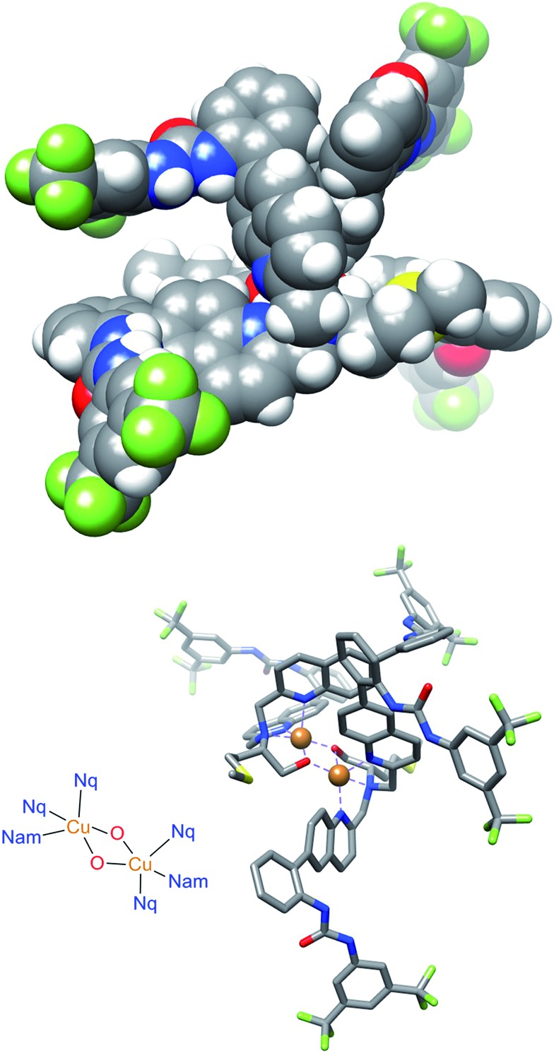 Fig. 6