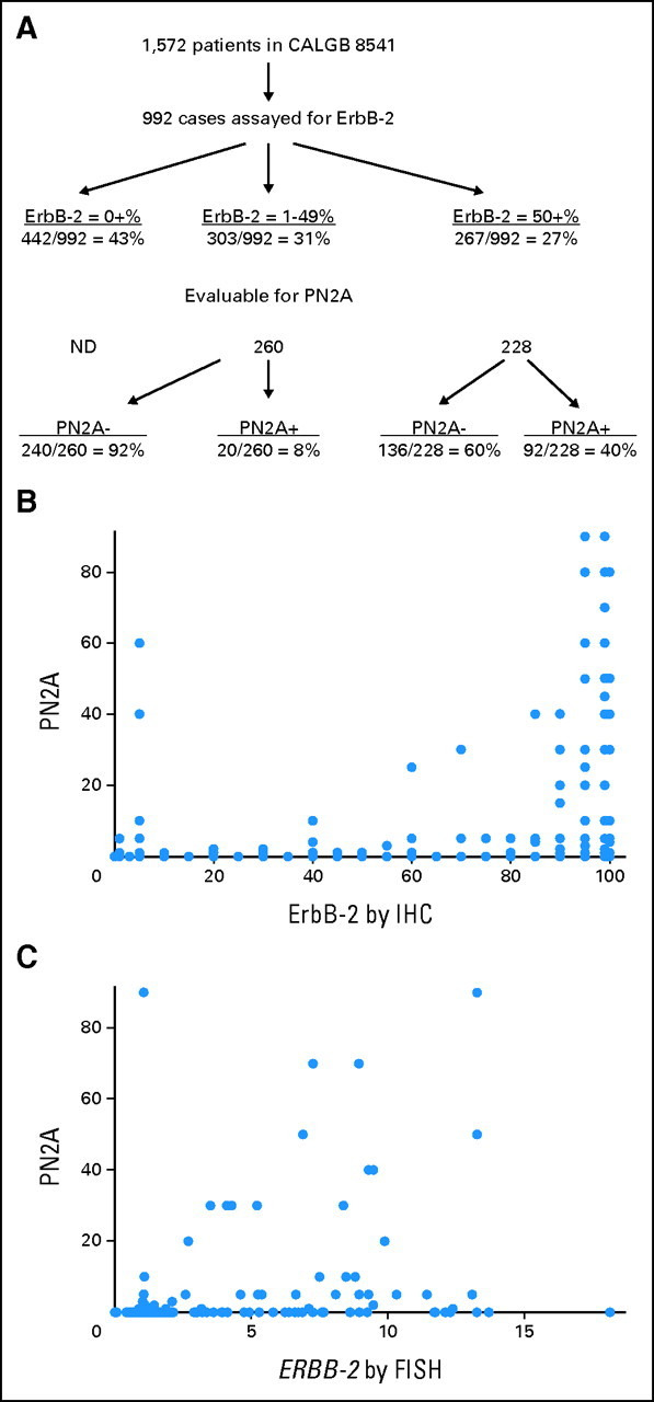 Fig 1.