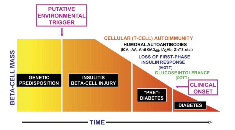 Fig. (1)