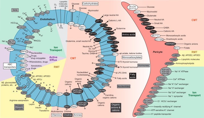 FIGURE 3.