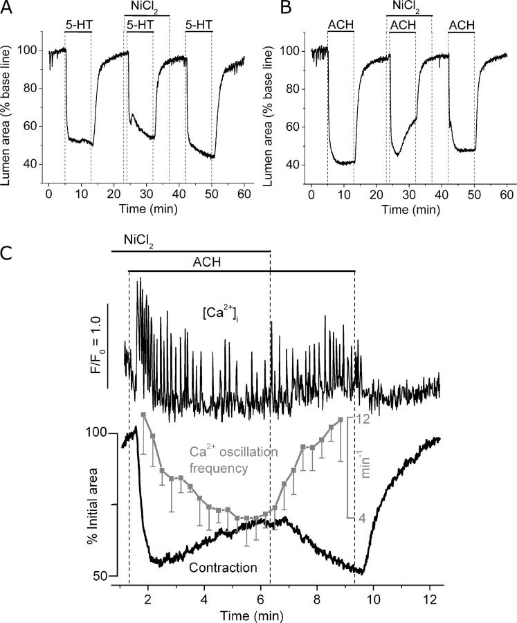 Figure 9. 