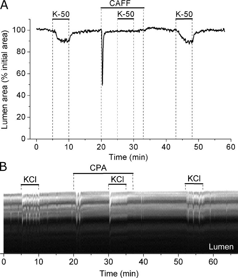 Figure 12. 