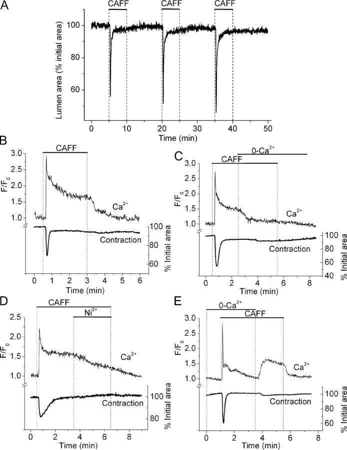 Figure 10. 