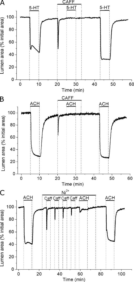 Figure 11. 