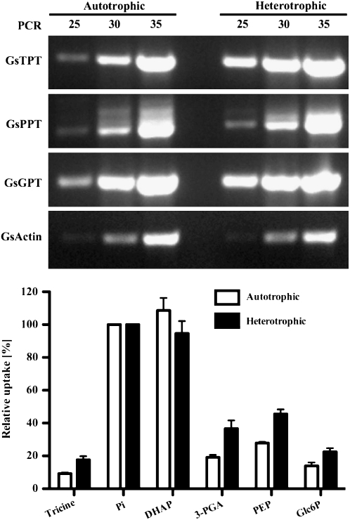 Figure 3.