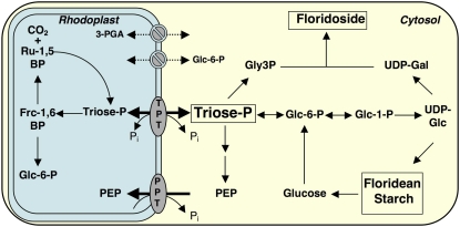 Figure 4.