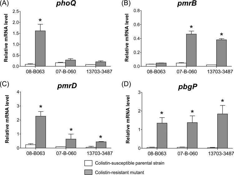 FIG 1