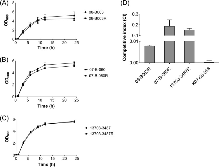 FIG 6