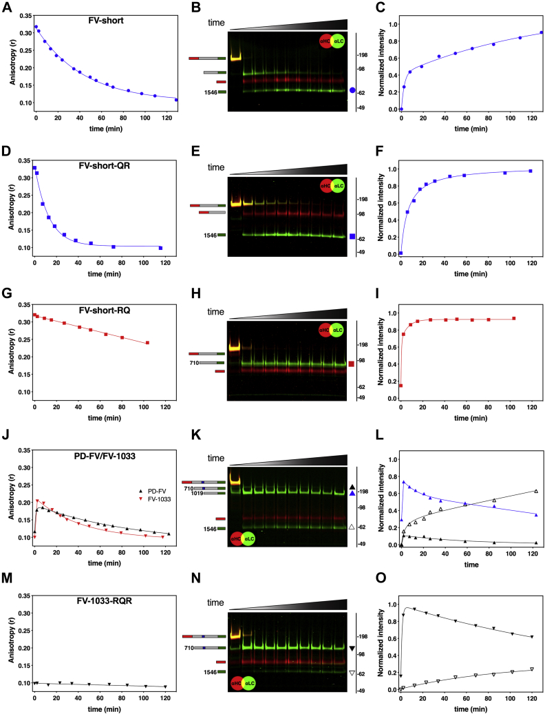 Figure 7