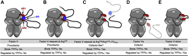 Figure 9