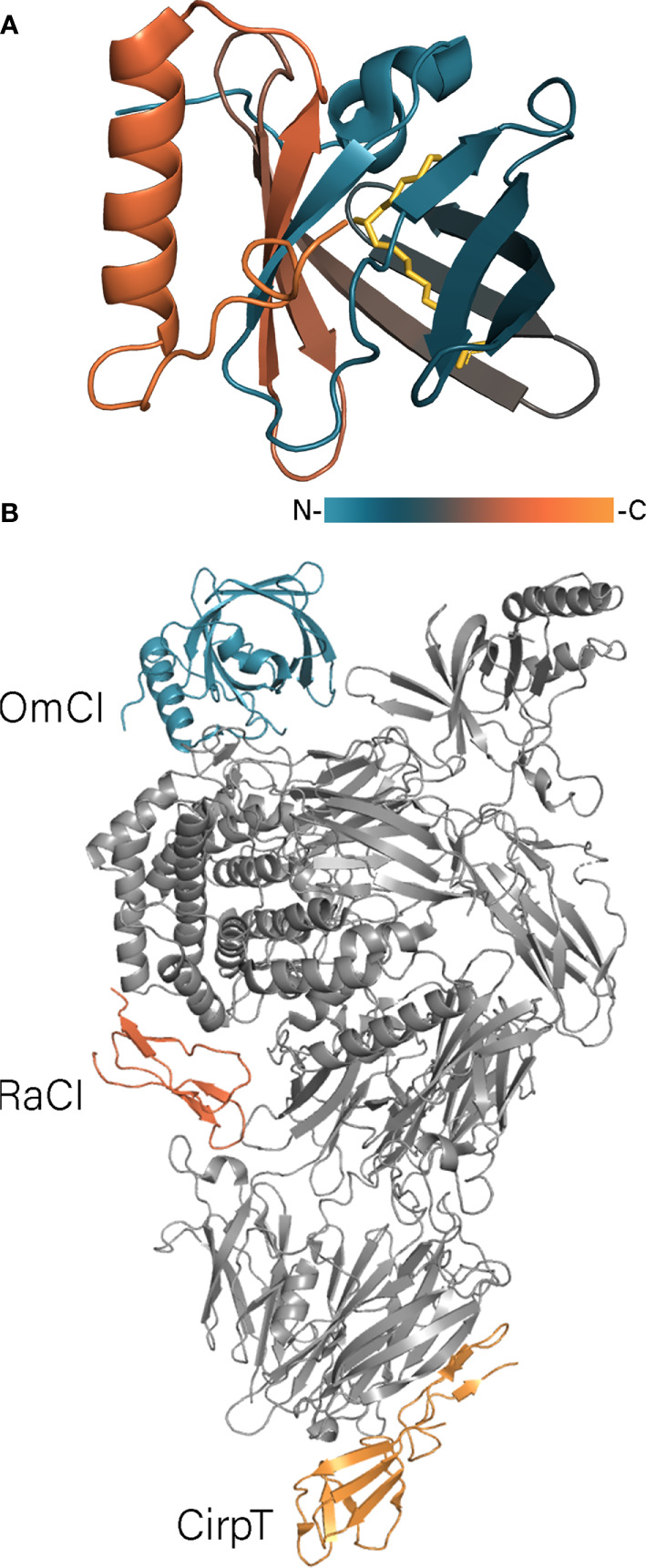 Figure 3