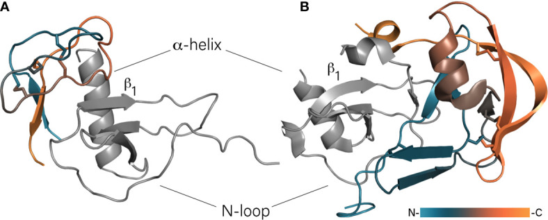 Figure 1