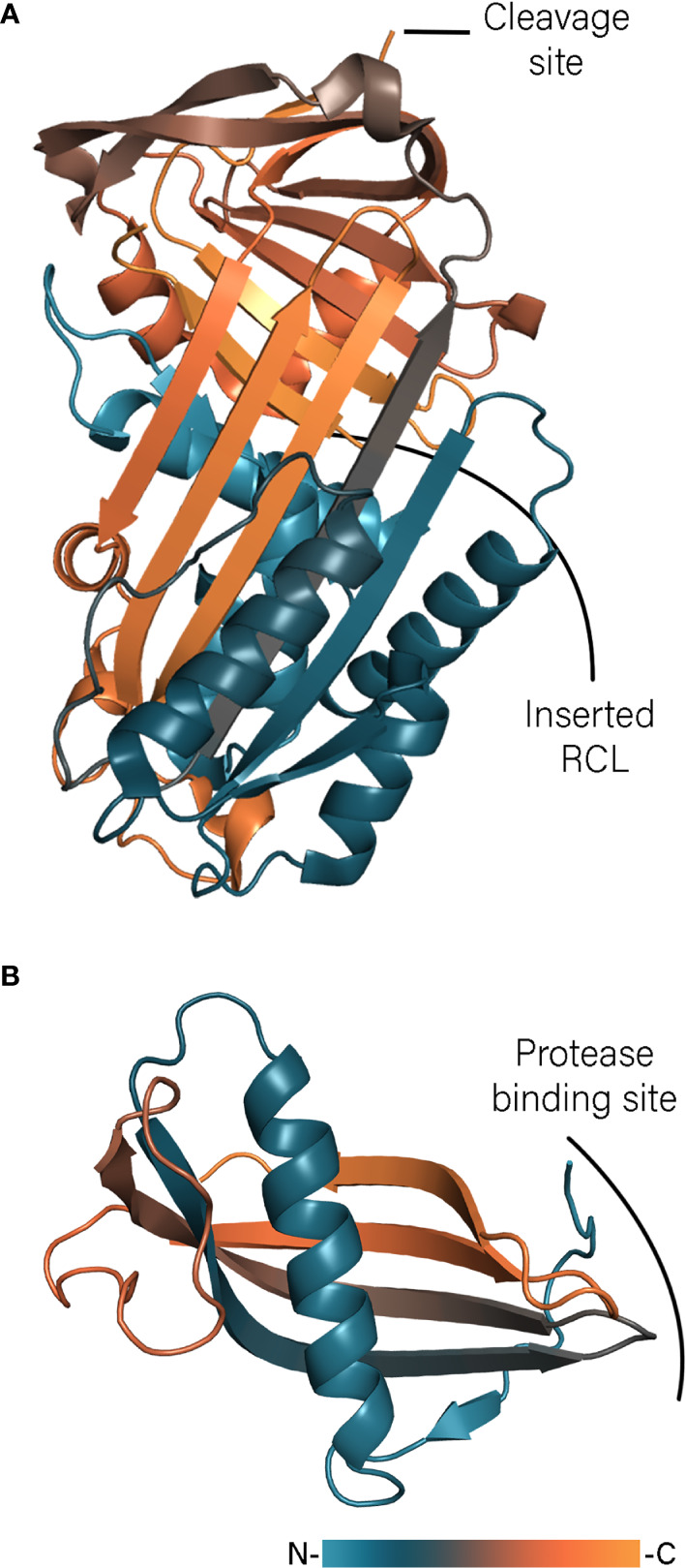 Figure 2