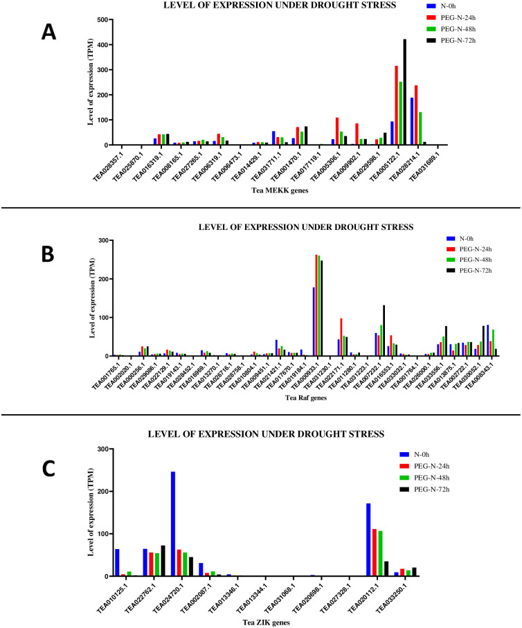 Fig 10