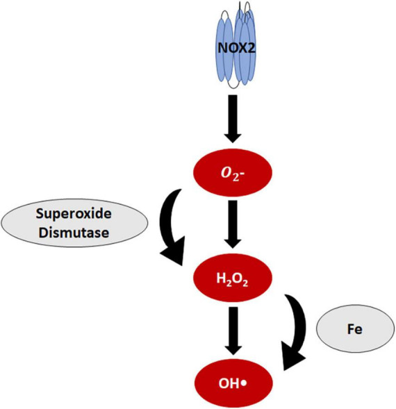 FIGURE 3