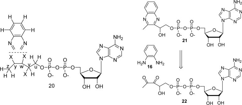 Figure 8