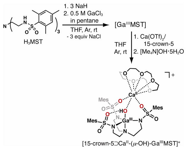 Scheme 2