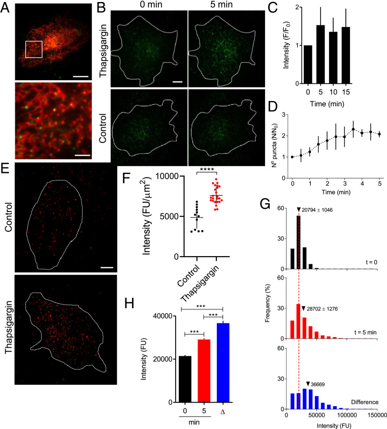 Fig. 2.