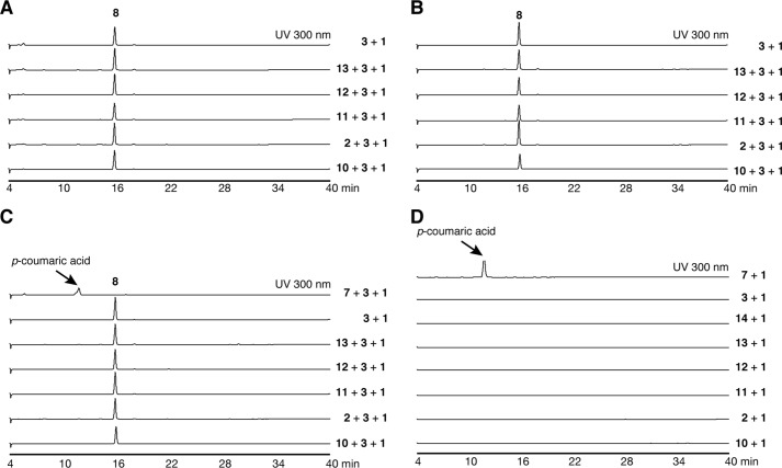 Figure 6.