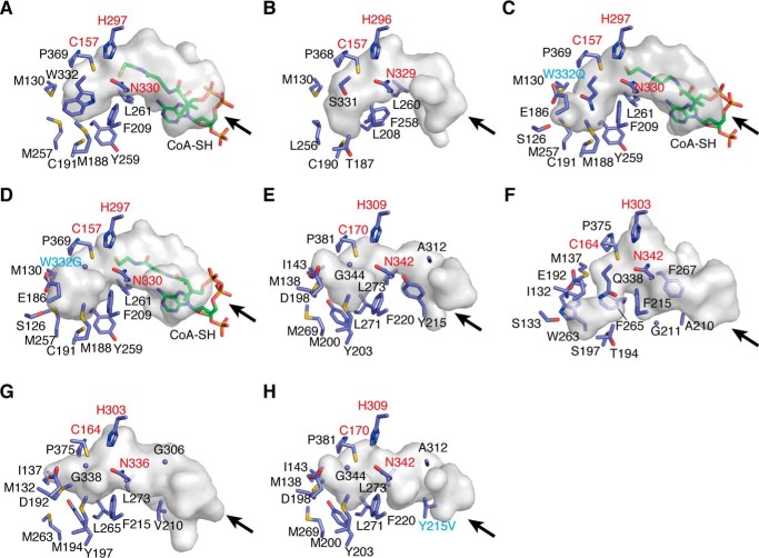 Figure 12.