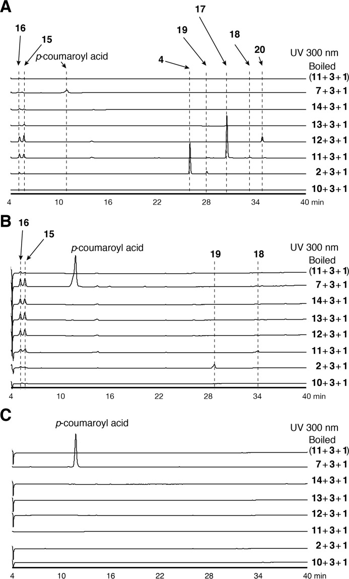 Figure 5.