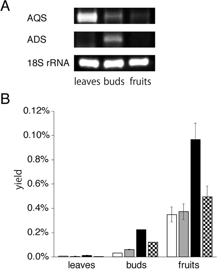 Figure 13.