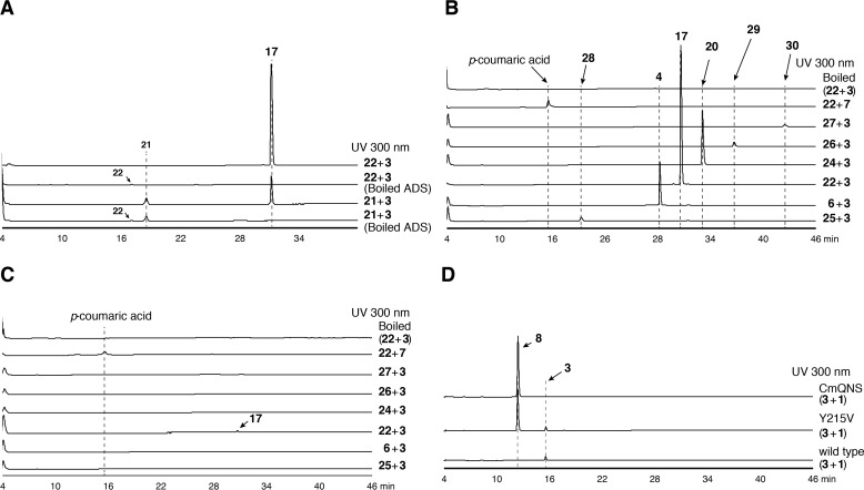 Figure 10.