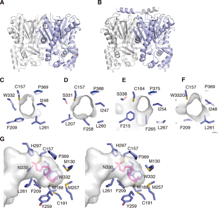 Figure 11.