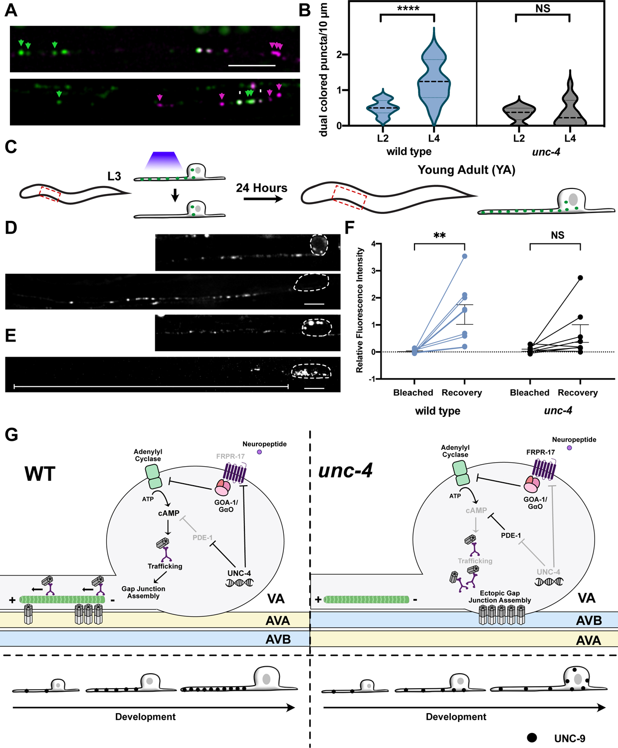 Figure 7: