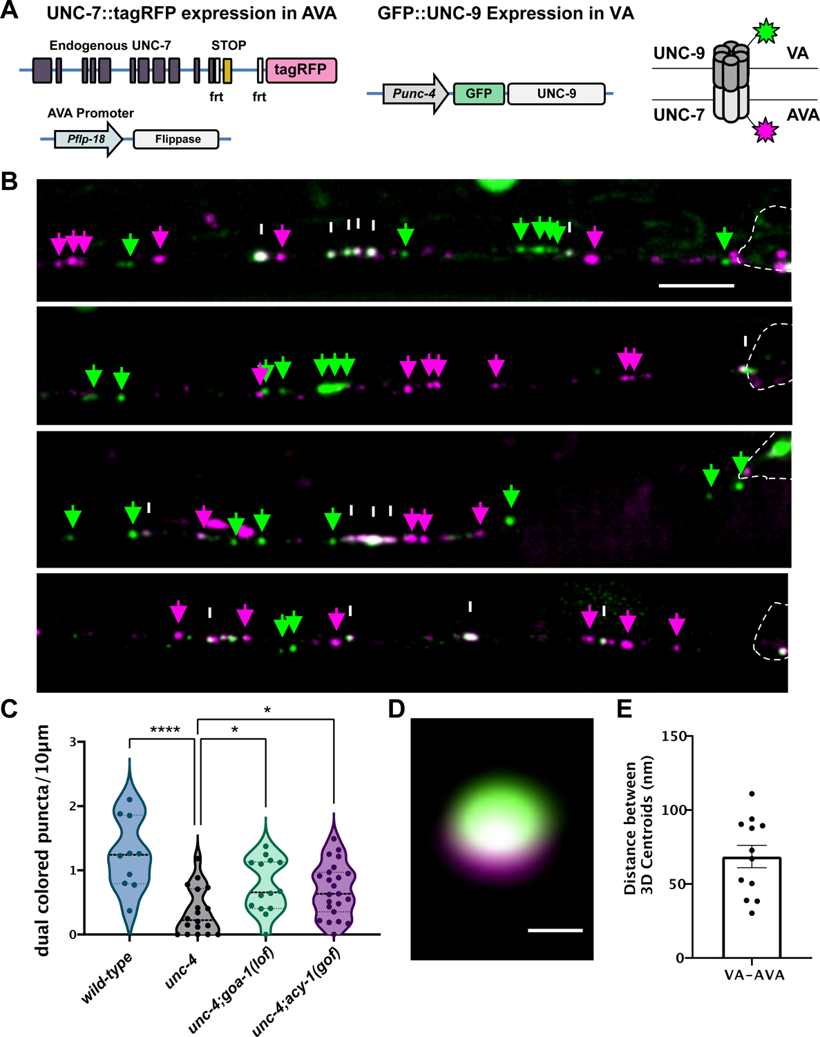 Figure 4: