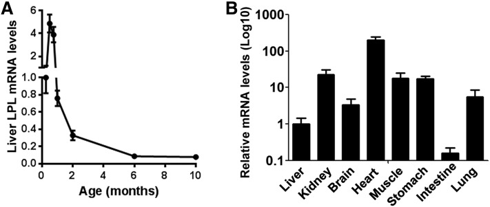 Fig. 1.