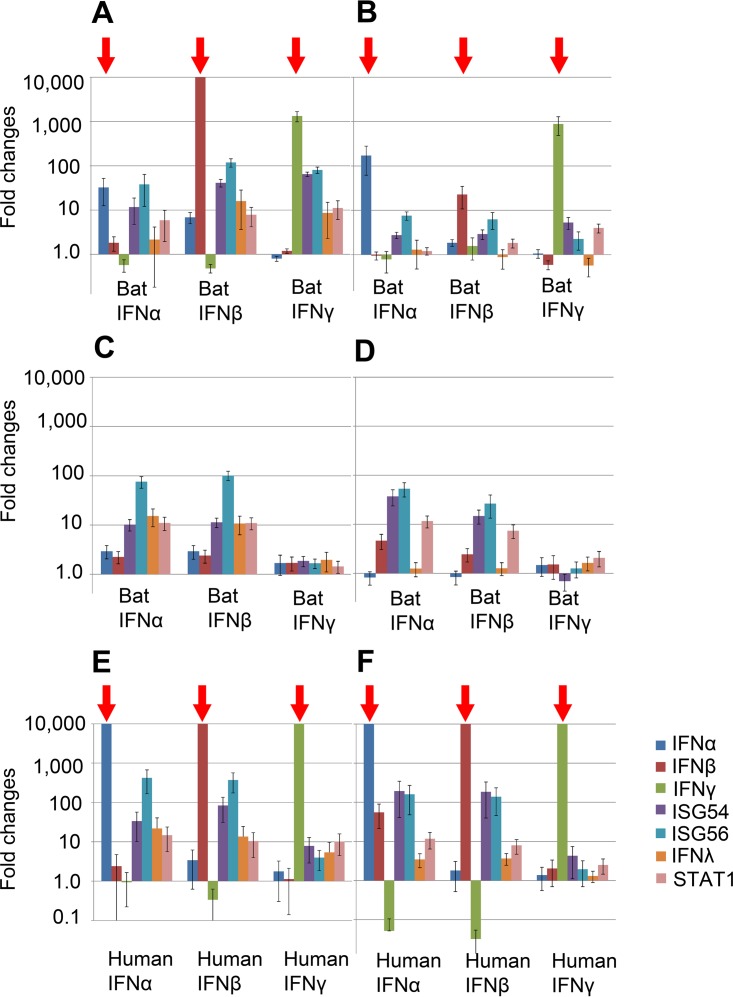 FIG 2