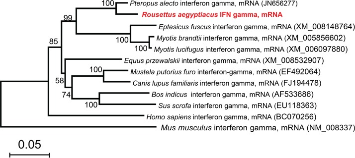 FIG 1