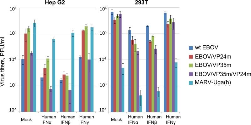 FIG 10