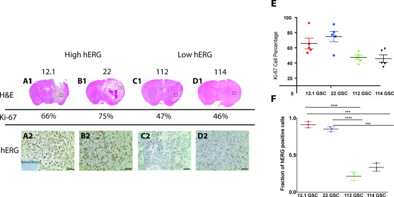 Fig.1