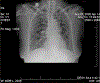 FIGURE 1 |