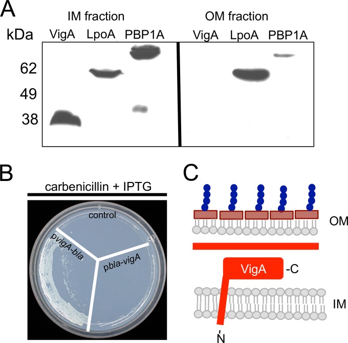 FIG 2