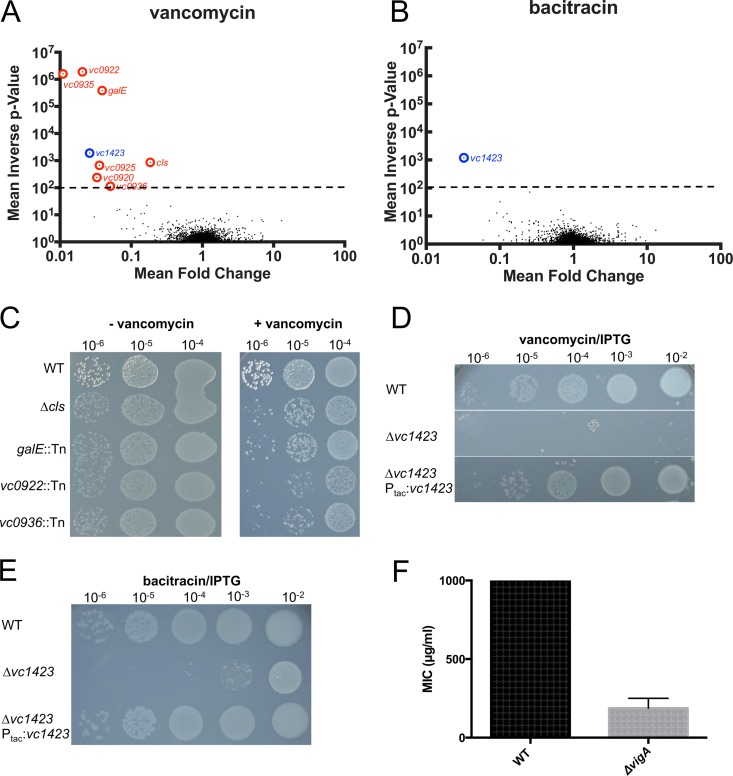 FIG 1