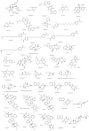 Fig. 2