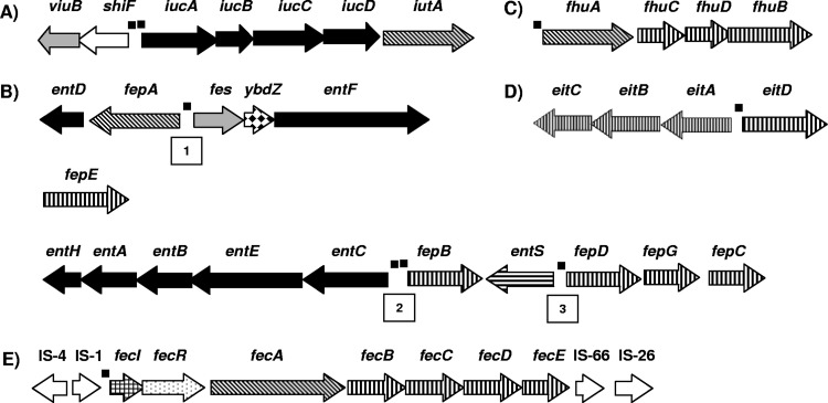 Fig 1