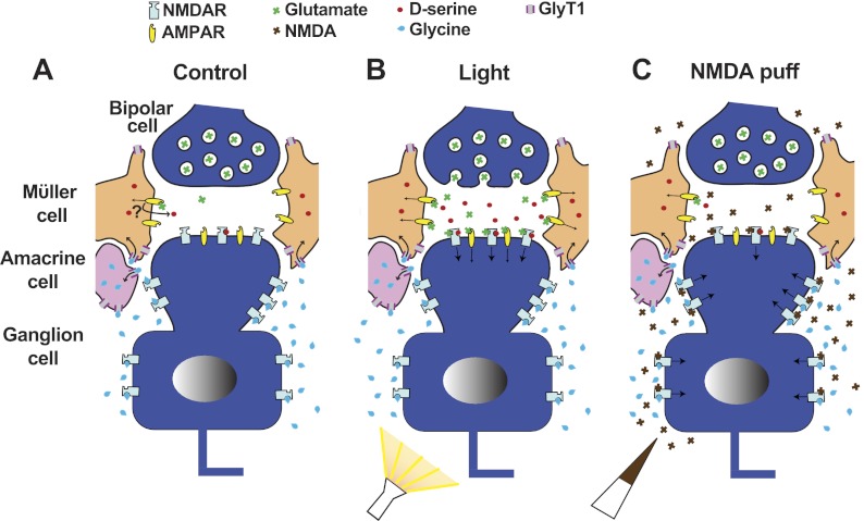 Fig. 4.