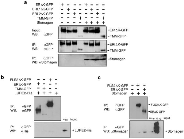 Extended Data Fig. 6