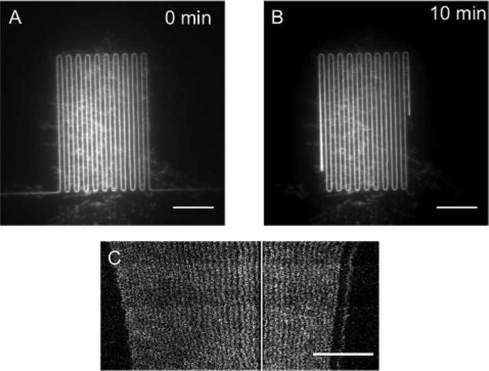 FIG. 3.