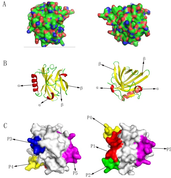 Figure 5