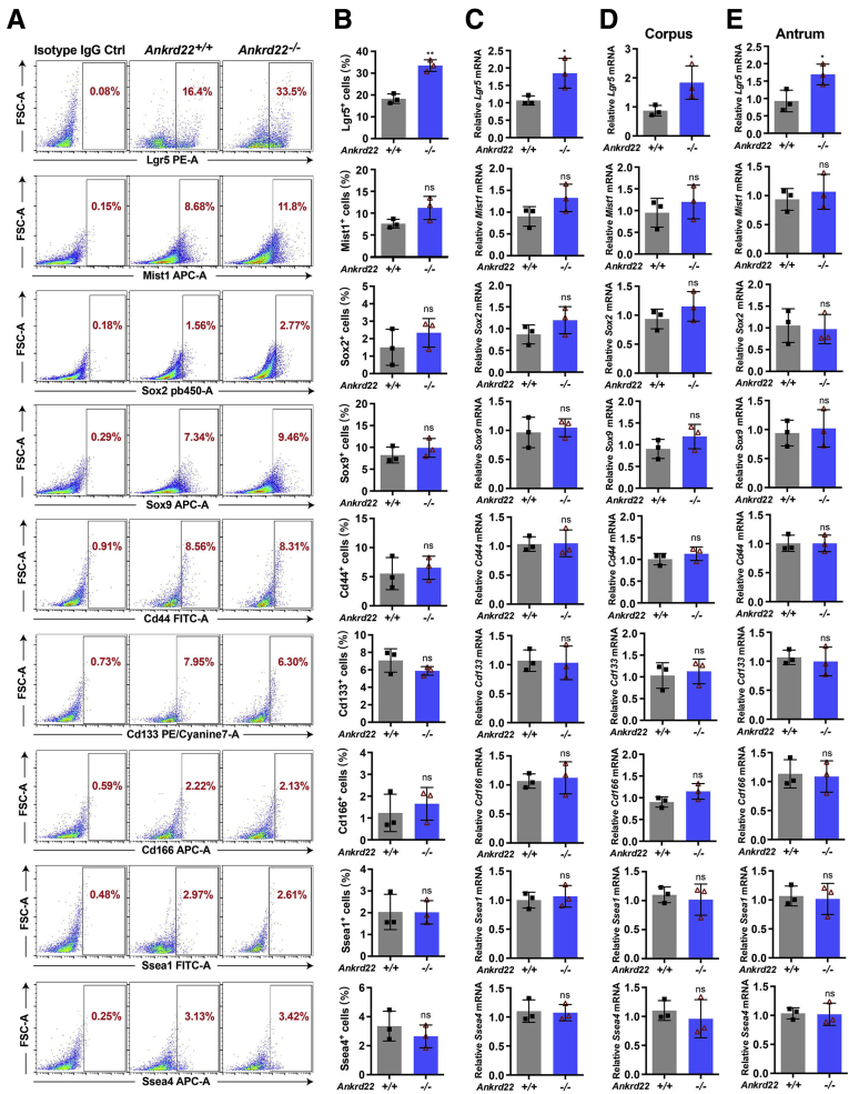 Figure 2