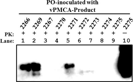 Fig. 9.