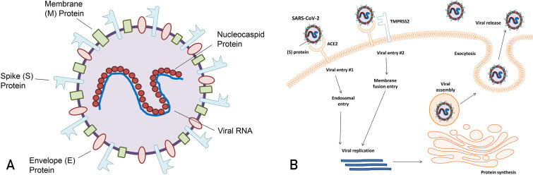 Figure 1