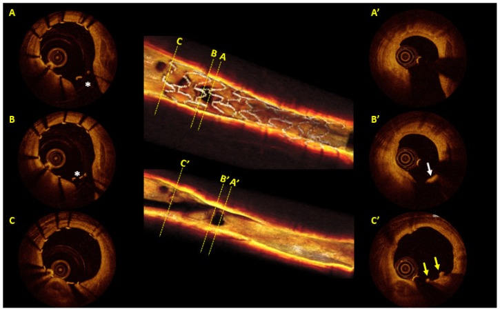 Figure 2.