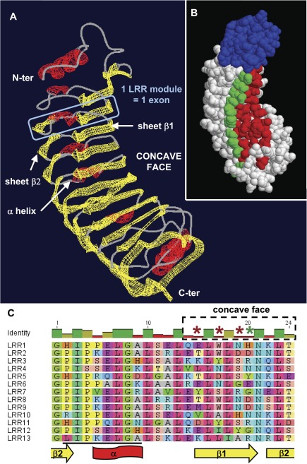 FIG. 4.