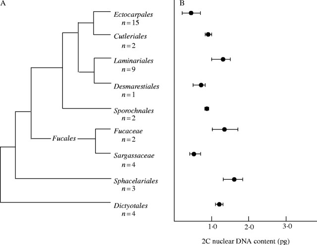 Fig. 12.